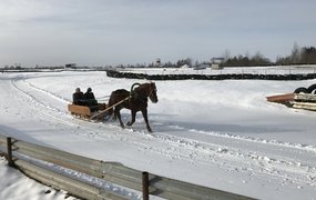 Saimniecības ekskursija un brauciens ar zirgu pajūgiem