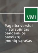 VMI informacija verslui